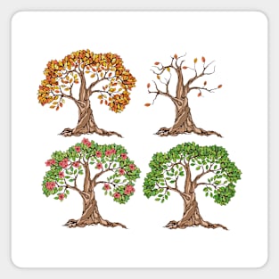 Four Seasons Trees Magnet